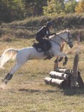DSC05356 DSC05356
