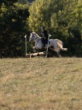 DSC05357 DSC05357