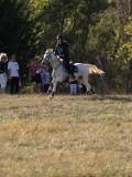 DSC05358 DSC05358