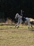 DSC05359 DSC05359
