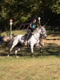 DSC05370 DSC05370