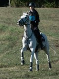 DSC_6261 DSC_6261