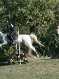 DSC_6263 DSC_6263