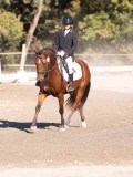 DSC01410 DSC01410