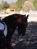 DSC01413 DSC01413