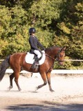 DSC01419 DSC01419