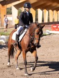 DSC01431 DSC01431