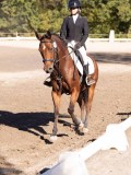 DSC01432 DSC01432