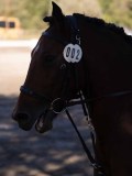 DSC01433 DSC01433