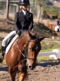 DSC01439 DSC01439