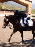 DSC01444 DSC01444