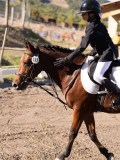 DSC01445 DSC01445