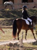 DSC01446 DSC01446