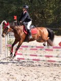 DSC03619 DSC03619