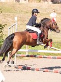 DSC03626 DSC03626