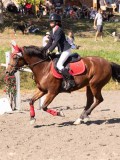 DSC03634 DSC03634