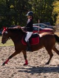 DSC03635 DSC03635