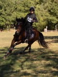 DSC04919 DSC04919