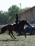 DSC_6039 DSC_6039