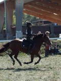 DSC_6040 DSC_6040
