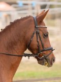 DSC02668 DSC02668
