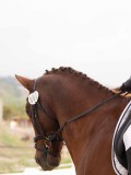 DSC02699 DSC02699