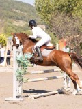 DSC03936 DSC03936