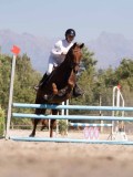 DSC03937 DSC03937