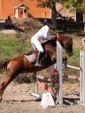 DSC03940 DSC03940