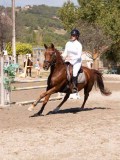 DSC03943 DSC03943
