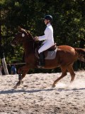 DSC03945 DSC03945