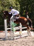DSC03946 DSC03946