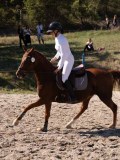 DSC03948 DSC03948