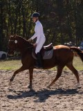 DSC03949 DSC03949