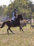 DSC05125 DSC05125