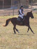 DSC05126 DSC05126
