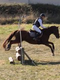 DSC05128 DSC05128