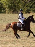 DSC05129 DSC05129