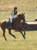 DSC06399 DSC06399