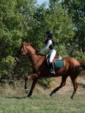 DSC_5739 DSC_5739
