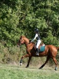 DSC_5740 DSC_5740
