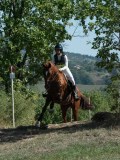 DSC_5745 DSC_5745