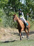 DSC_5746 DSC_5746