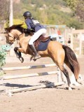 DSC03578