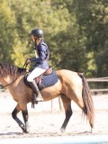 DSC03590 DSC03590