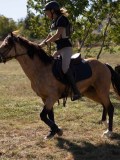 DSC04884 DSC04884