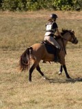 DSC04889 DSC04889