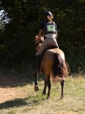 DSC04896 DSC04896