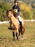 DSC05952 DSC05952