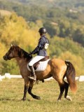 DSC05958 DSC05958